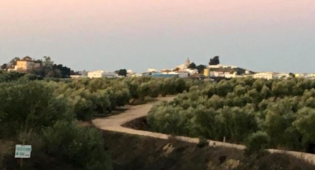 Vista paisajista (13)